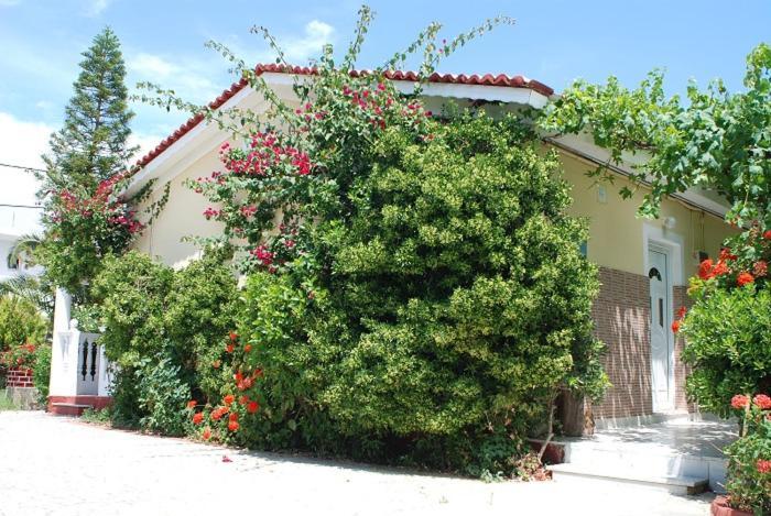 Manao Summer House Tsilivi  Zewnętrze zdjęcie