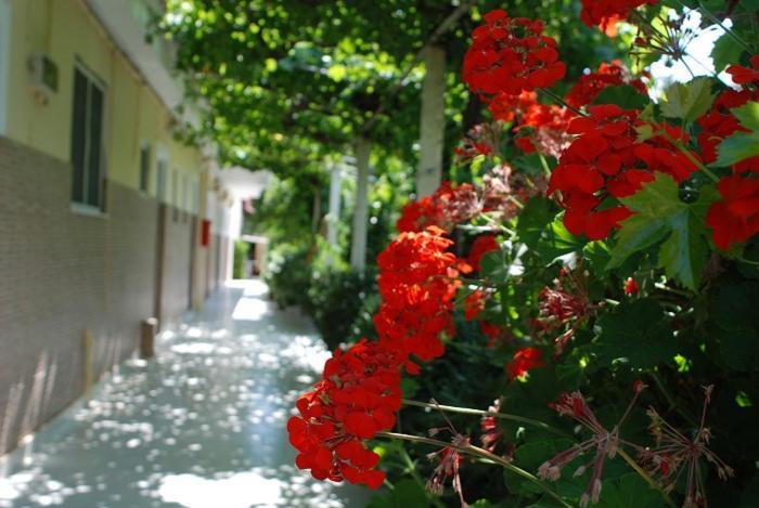 Manao Summer House Tsilivi  Zewnętrze zdjęcie